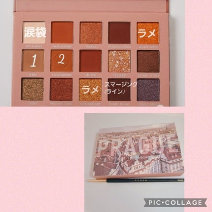 GO TRAVEL 15色アイシャドウパレット/FOCALLURE/アイシャドウパレットを使ったクチコミ(1枚目)