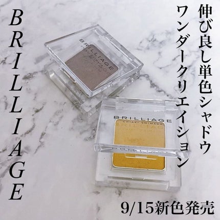 ワンダークリエイション /ブリリアージュ/単色アイシャドウを使ったクチコミ(1枚目)