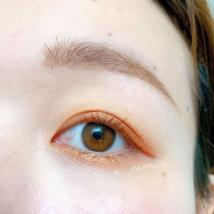 アディクション ザ マスカラ カラーニュアンス WP 005 Cinnamon Brown/ADDICTION/マスカラを使ったクチコミ(2枚目)