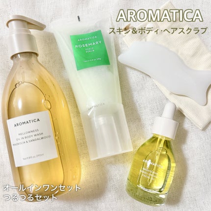 ローズマリー スカルプ スクラブ/AROMATICA/ヘッドスクラブを使ったクチコミ(1枚目)