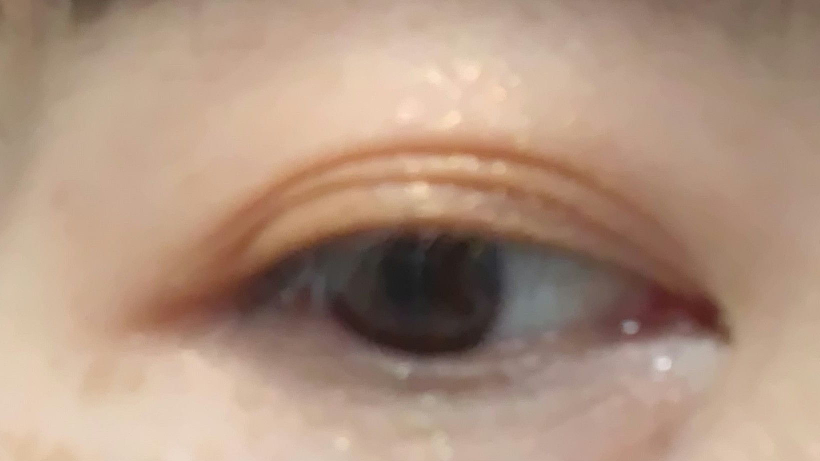 パラドゥ シングルアイシャドウ	/パラドゥ/単色アイシャドウを使ったクチコミ（3枚目）