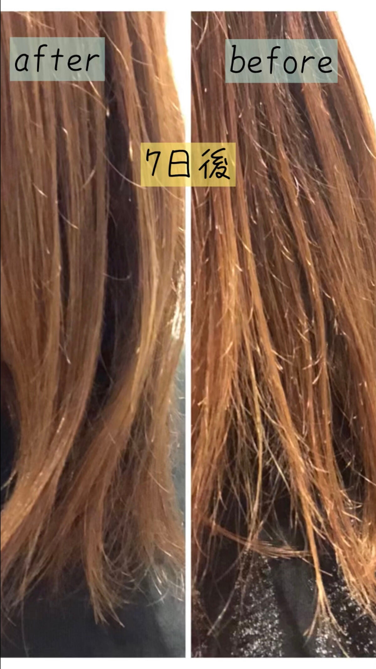 モイスト&ダメージリペア シャンプー/トリートメント/FUN AZUM/市販シャンプーを使ったクチコミ(5枚目)