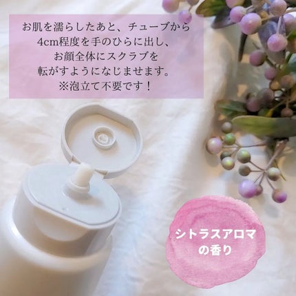 クレイウォッシュ/ボタニズム /洗顔フォームを使ったクチコミ(2枚目)