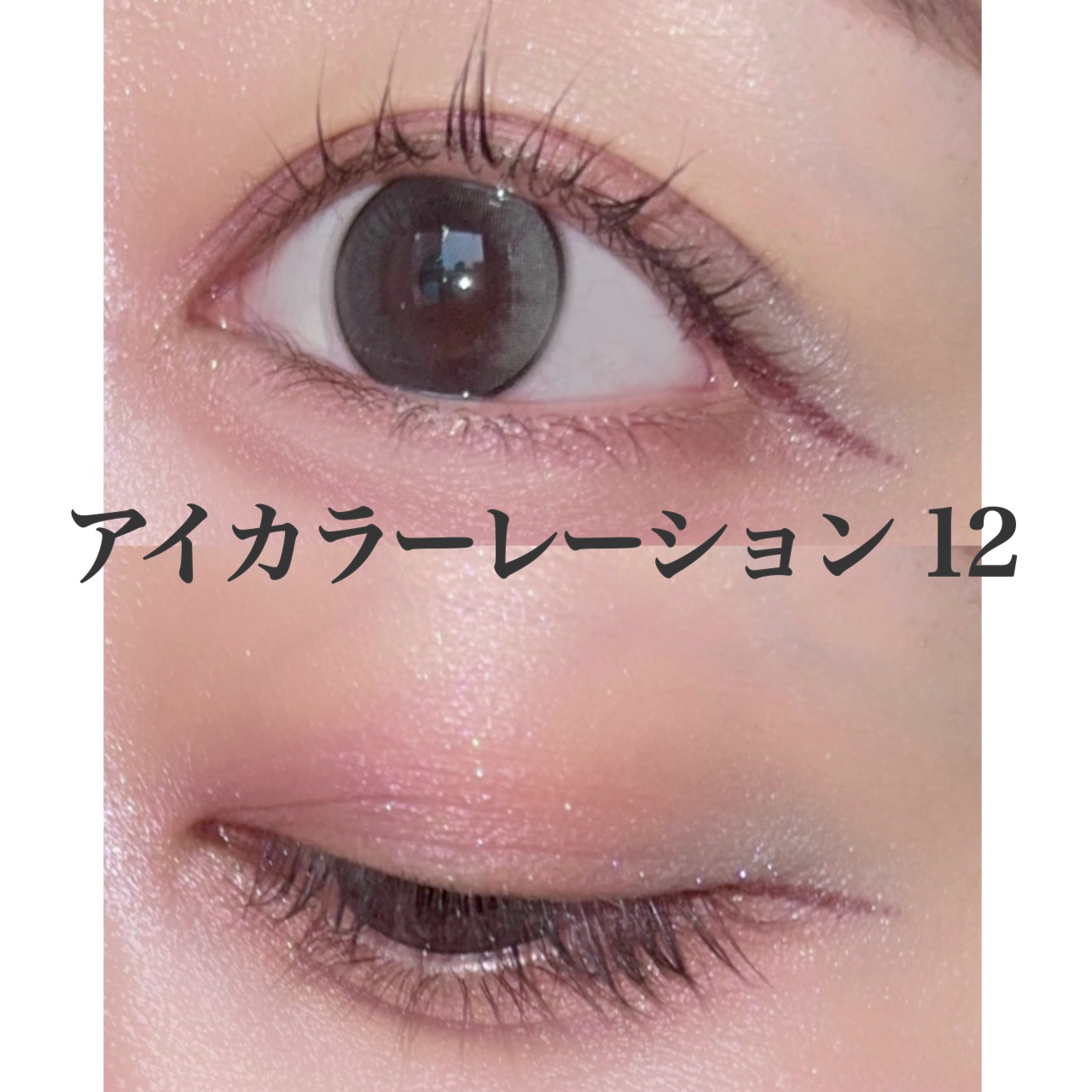 アイカラーレーション/LUNASOL/アイシャドウパレットを使ったクチコミ（2枚目）