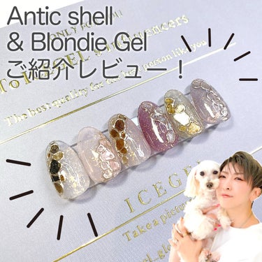 ICEGELのBlondie Gel&Antic shellのご紹介レビュー！

┈┈┈┈┈┈┈┈┈┈

凹凸のない箔入りのブロンディジェルは上品な色合いで塗るだけで華やかなだけじゃない大人の輝きを出す