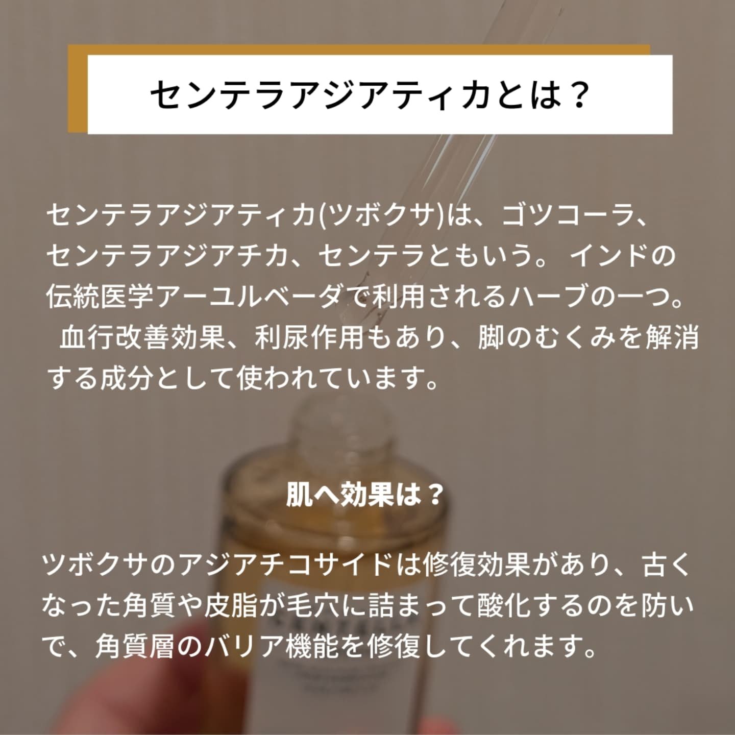 センテラ アンプル/SKIN1004/美容液を使ったクチコミ（3枚目）