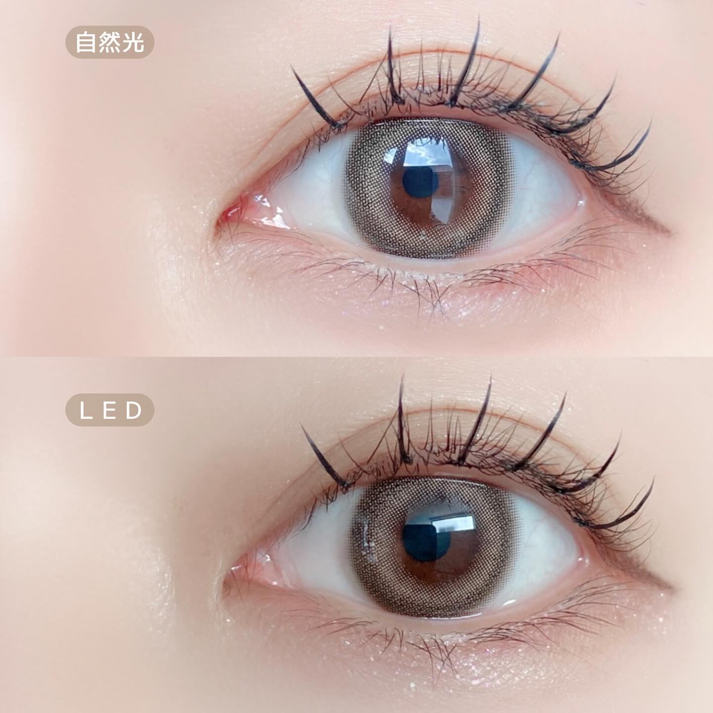 Dear Deer Kristen 1month/Hapa kristin/ワンデー（１DAY）カラコンを使ったクチコミ（3枚目）