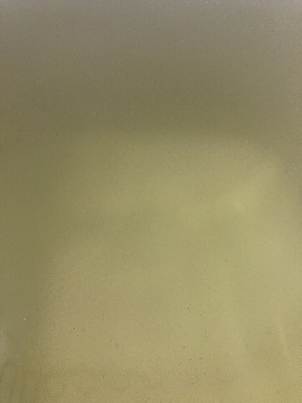 とろり炭酸湯 ぜいたく果実紅茶 12錠入/温泡/炭酸系入浴剤を使ったクチコミ（2枚目）