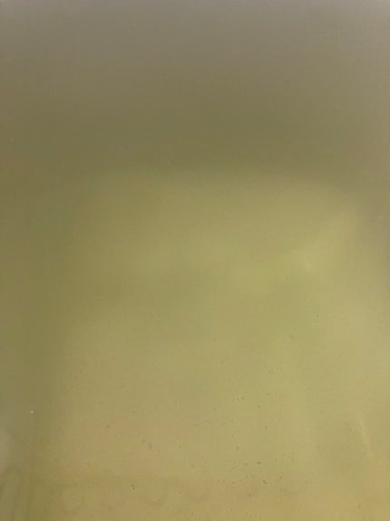 とろり炭酸湯 ぜいたく果実紅茶 12錠入/温泡/炭酸系入浴剤を使ったクチコミ(2枚目)