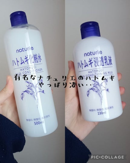 を使ったクチコミ(1枚目)