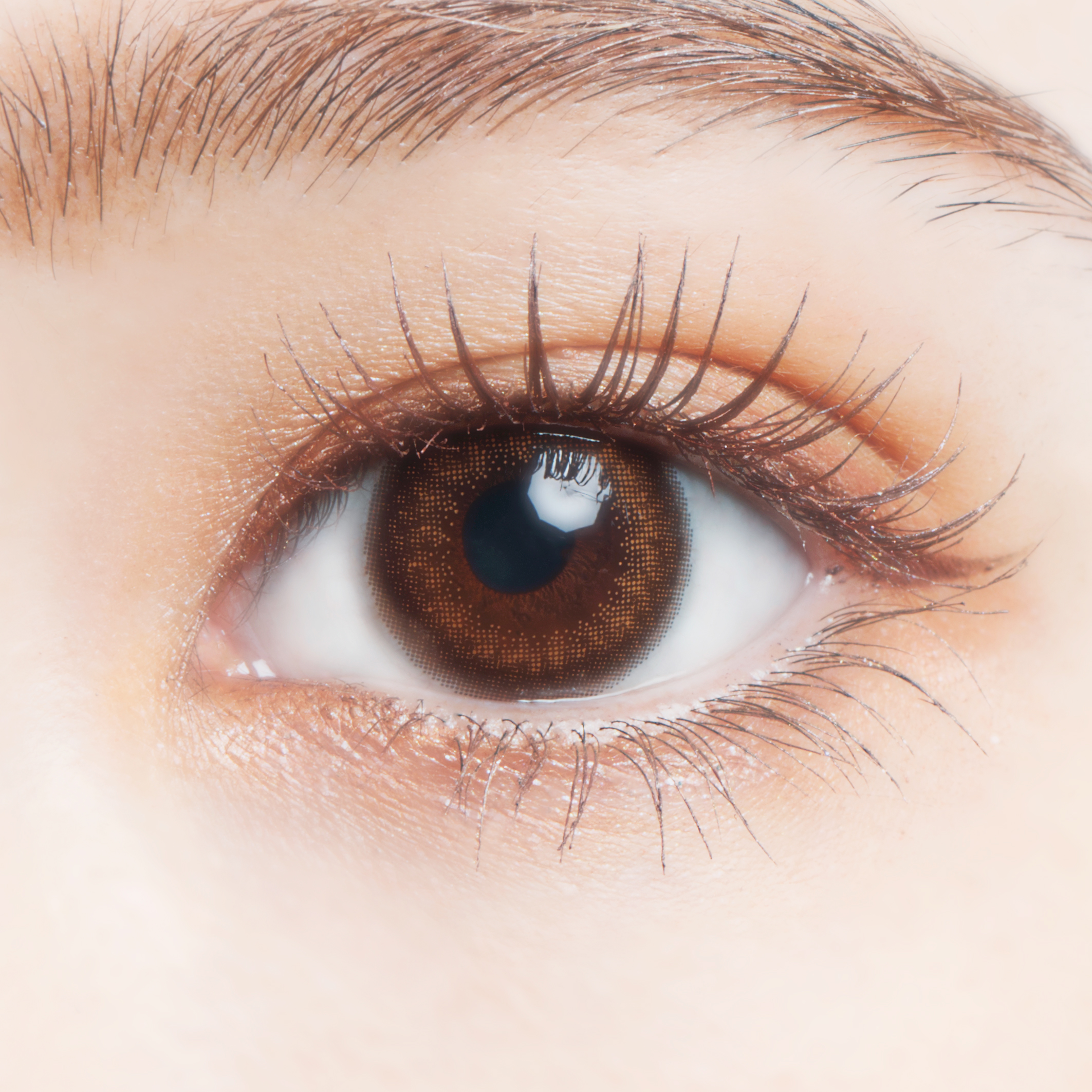 U.P.D. 1day ホログラムダリア