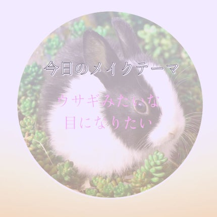 プロ アイ パレット/CLIO/アイシャドウパレットを使ったクチコミ(1枚目)