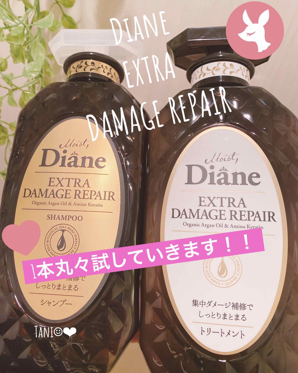 パーフェクトビューティ モイストダイアン エクストラダメージリペア シャンプー/トリートメント/ダイアン/市販シャンプーを使ったクチコミ(1枚目)