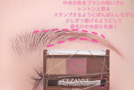 ノーズ&アイブロウパウダー/CEZANNE/パウダーアイブロウを使ったクチコミ(3枚目)