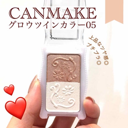 グロウツインカラー/キャンメイク/アイシャドウパレットを使ったクチコミ(1枚目)