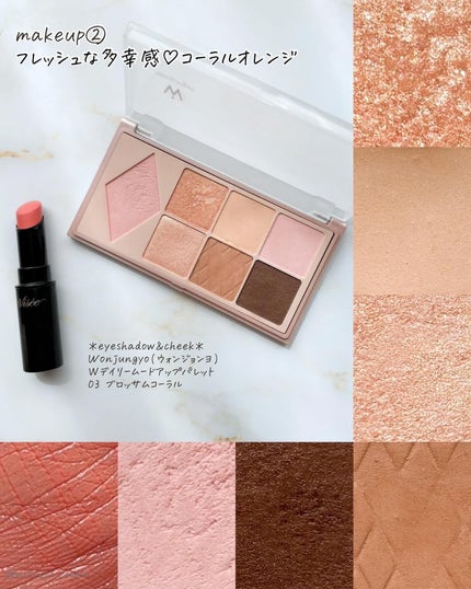 ネンマクフェイク ルージュ/Visée/口紅を使ったクチコミ(7枚目)