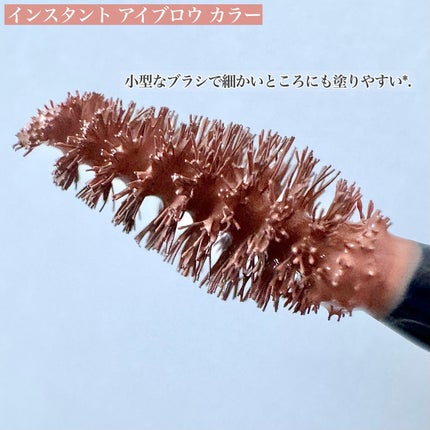 ヴィセ リシェ アイブロウパウダー/Visée/パウダーアイブロウを使ったクチコミ(5枚目)