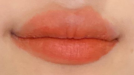 アディクション ザ マット リップ リキッド 009 Peruvian Brown/ADDICTION/口紅の画像