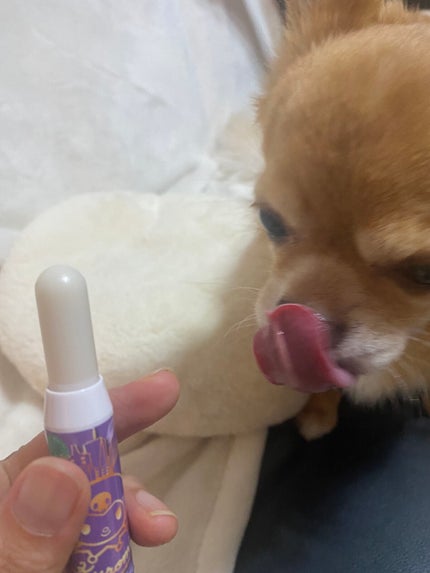 レブロン キス シュガー スクラブ/REVLON/リップスクラブを使ったクチコミ(5枚目)