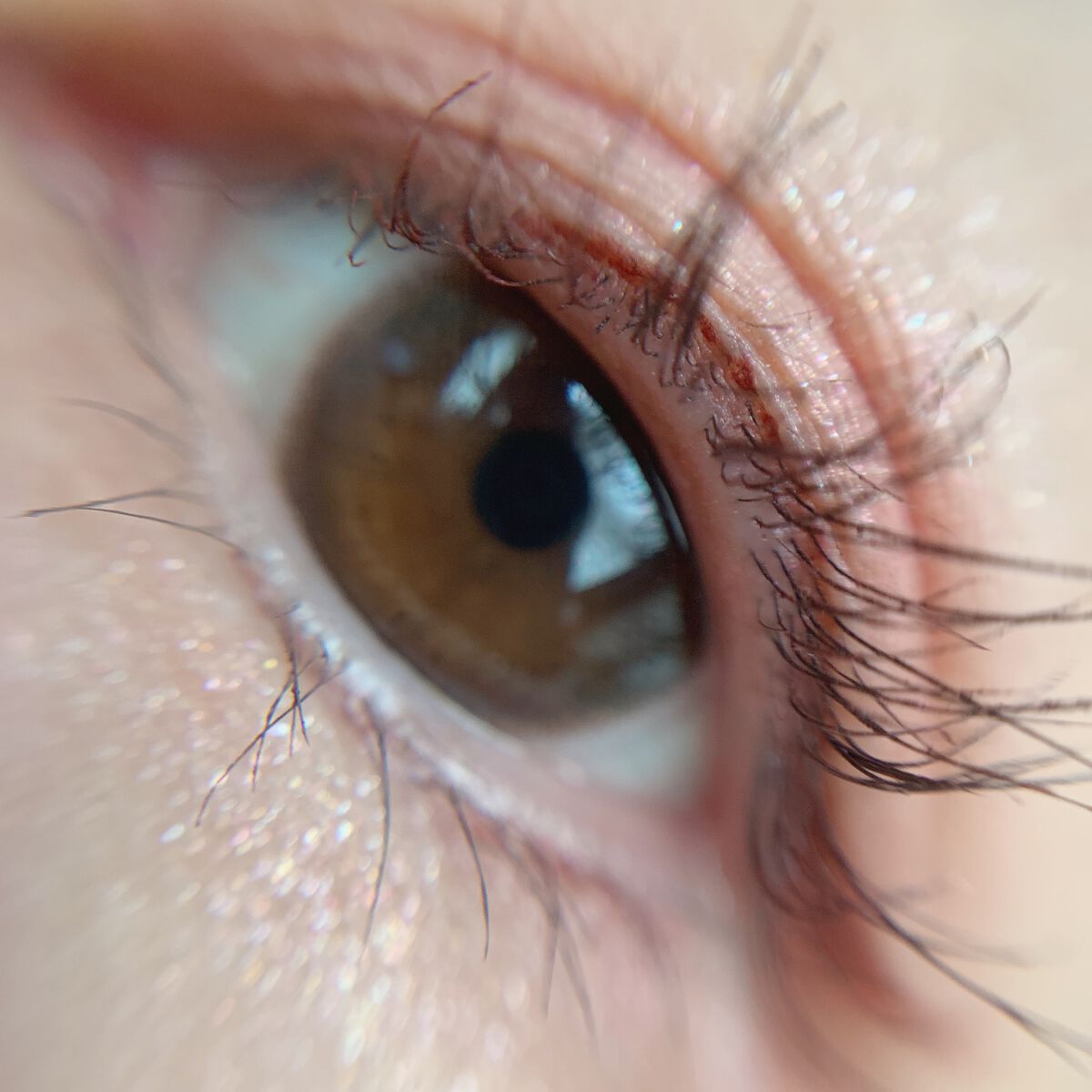 【旧】サンク クルール クチュール 1947 ミス ディオール/Dior/アイシャドウパレットを使ったクチコミ（3枚目）