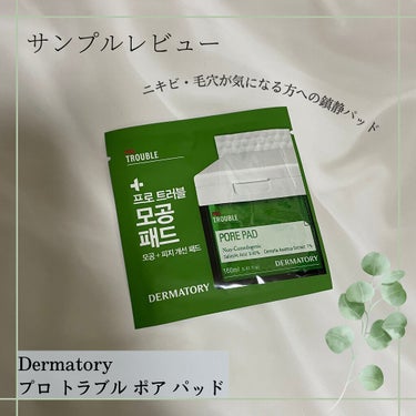 Dermatory プロ トラブル ポア パッドのクチコミ「【ニキビ・毛穴汚れの拭き取りパッド🌱 ͛.*】

❁⃘┈┈┈┈┈┈┈ ❁ ❁ ❁ ┈┈┈┈┈┈.....」（1枚目）