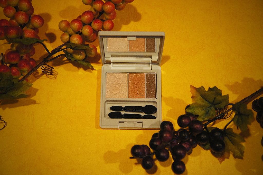 アイカラーパレット/ナチュラグラッセ/アイシャドウパレットを使ったクチコミ（3枚目）