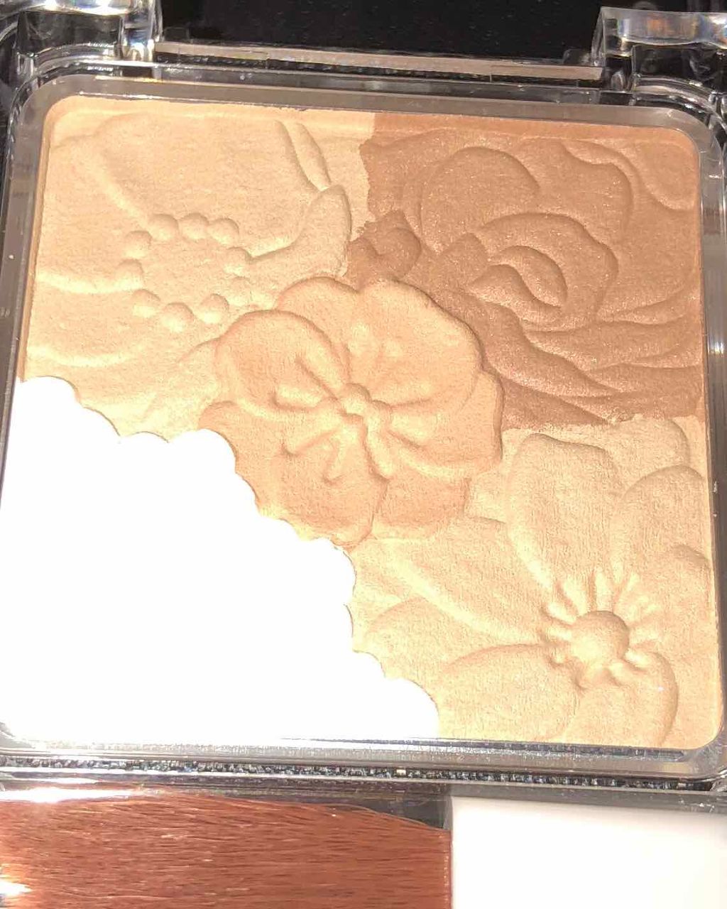 グロウフルールハイライター/キャンメイク/パウダーハイライトを使ったクチコミ（2枚目）