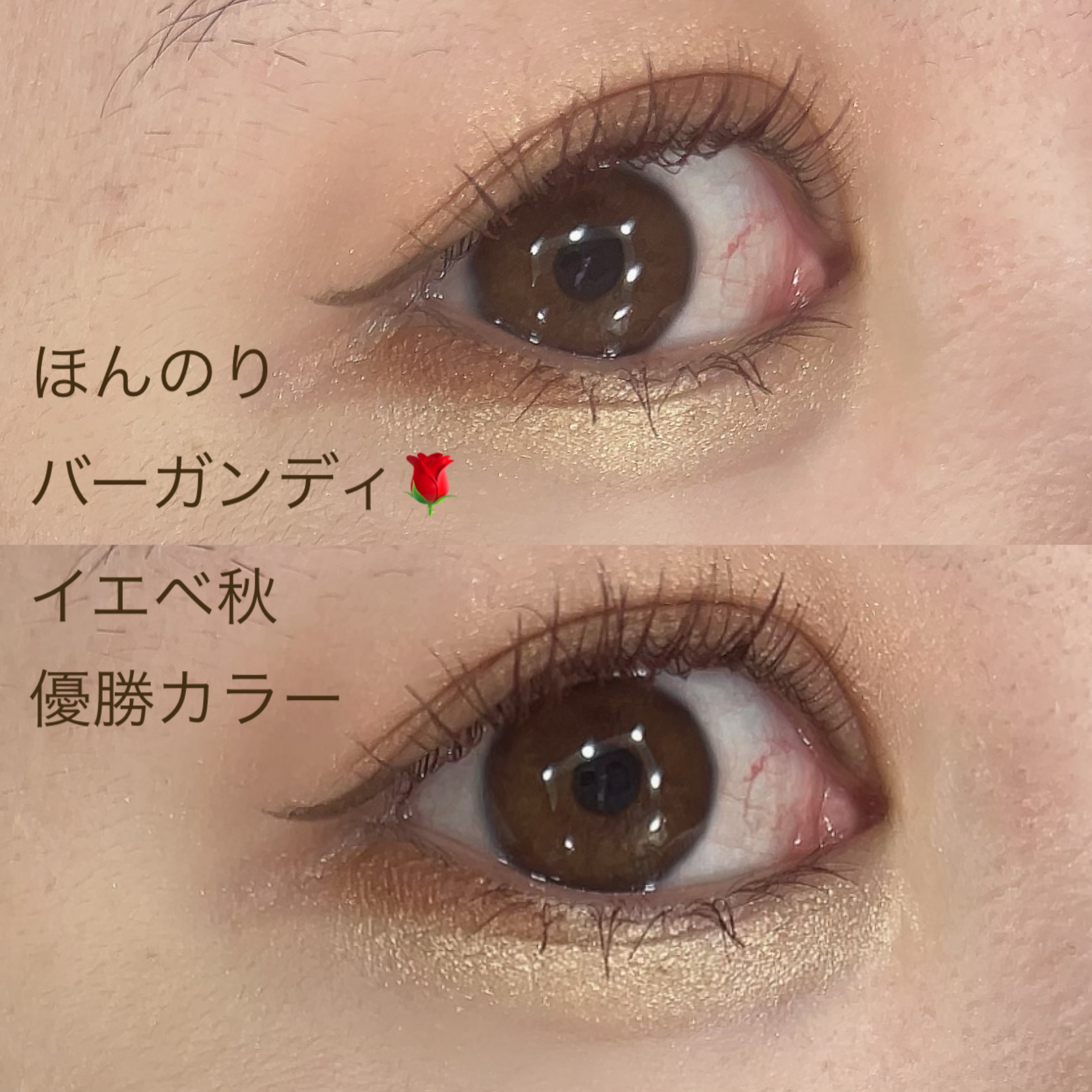 フレームレスフィルムマスカラ RD-1 バーガンディ(限定)/KATE/マスカラを使ったクチコミ（2枚目）