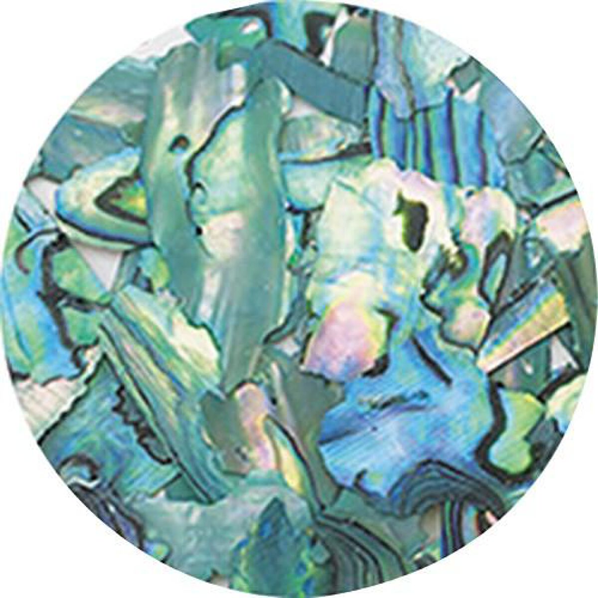 ナチュラルビーチシェル NZ06 グリーンマーブル