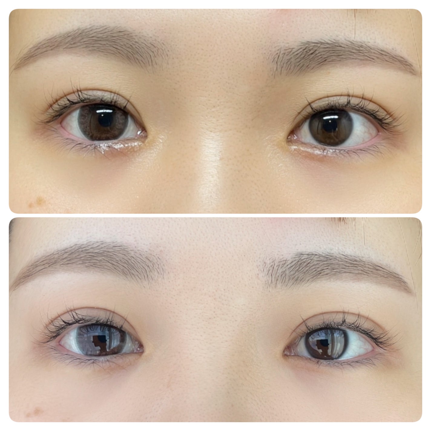 U.P.D. 1day/U.P.D./ワンデー(1DAY)カラコンを使ったクチコミ(3枚目)