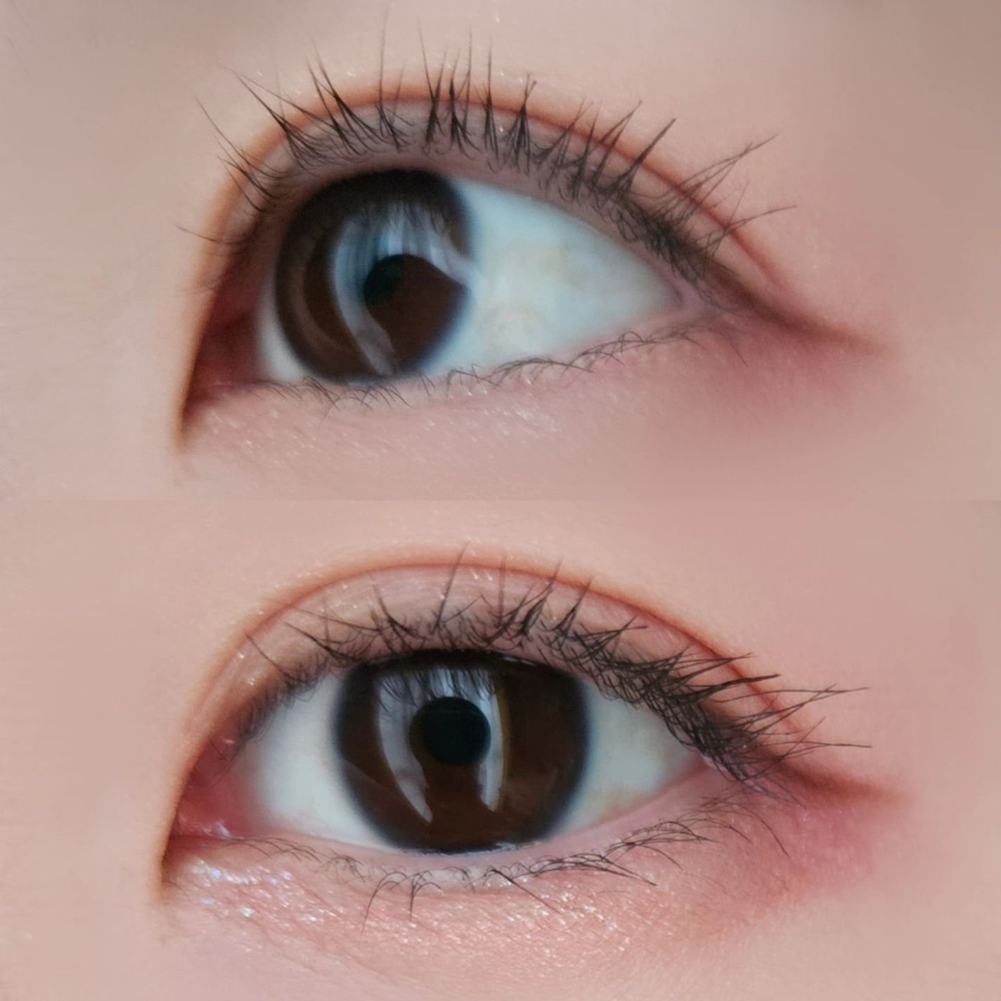 パーフェクトエクステンション マスカラ/D-UP/マスカラを使ったクチコミ(3枚目)