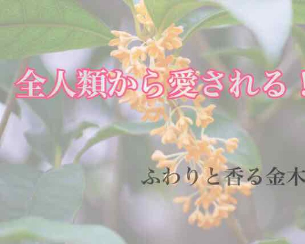 うさぎ饅頭/舞妓さんの練り香水/練り香水を使ったクチコミ（1枚目）