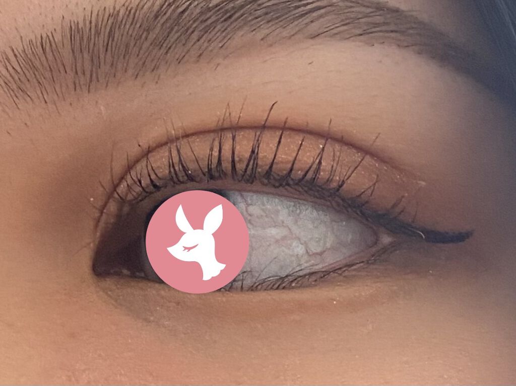 まつげくるん（セパレートコーム） EH-SE50P/Panasonic/ホットビューラーを使ったクチコミ（1枚目）