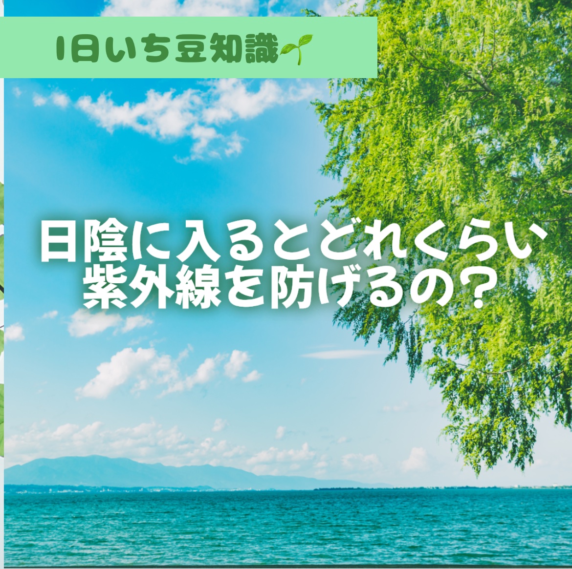 パーフェクトUV スキンケアジェル N/アネッサ/日焼け止め・UVケアを使ったクチコミ（1枚目）