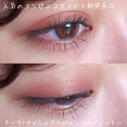 カラーパレット/パラドゥ/マルチパレットを使ったクチコミ(1枚目)