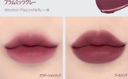 プラムミッツグレー