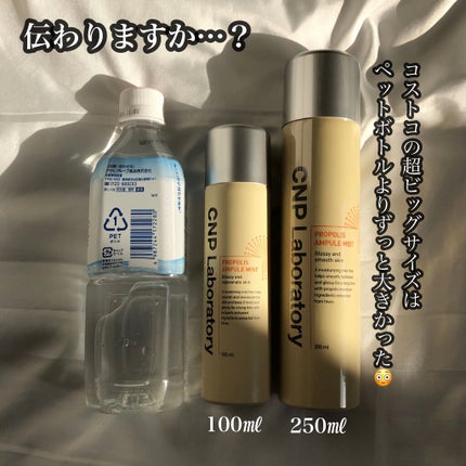 プロP ミスト/CNP Laboratory/ミスト状化粧水を使ったクチコミ(3枚目)