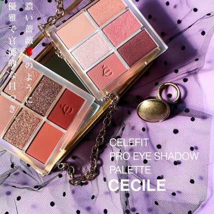 プロアイシャドウパレットセシル/CELEFIT/アイシャドウパレットを使ったクチコミ(2枚目)