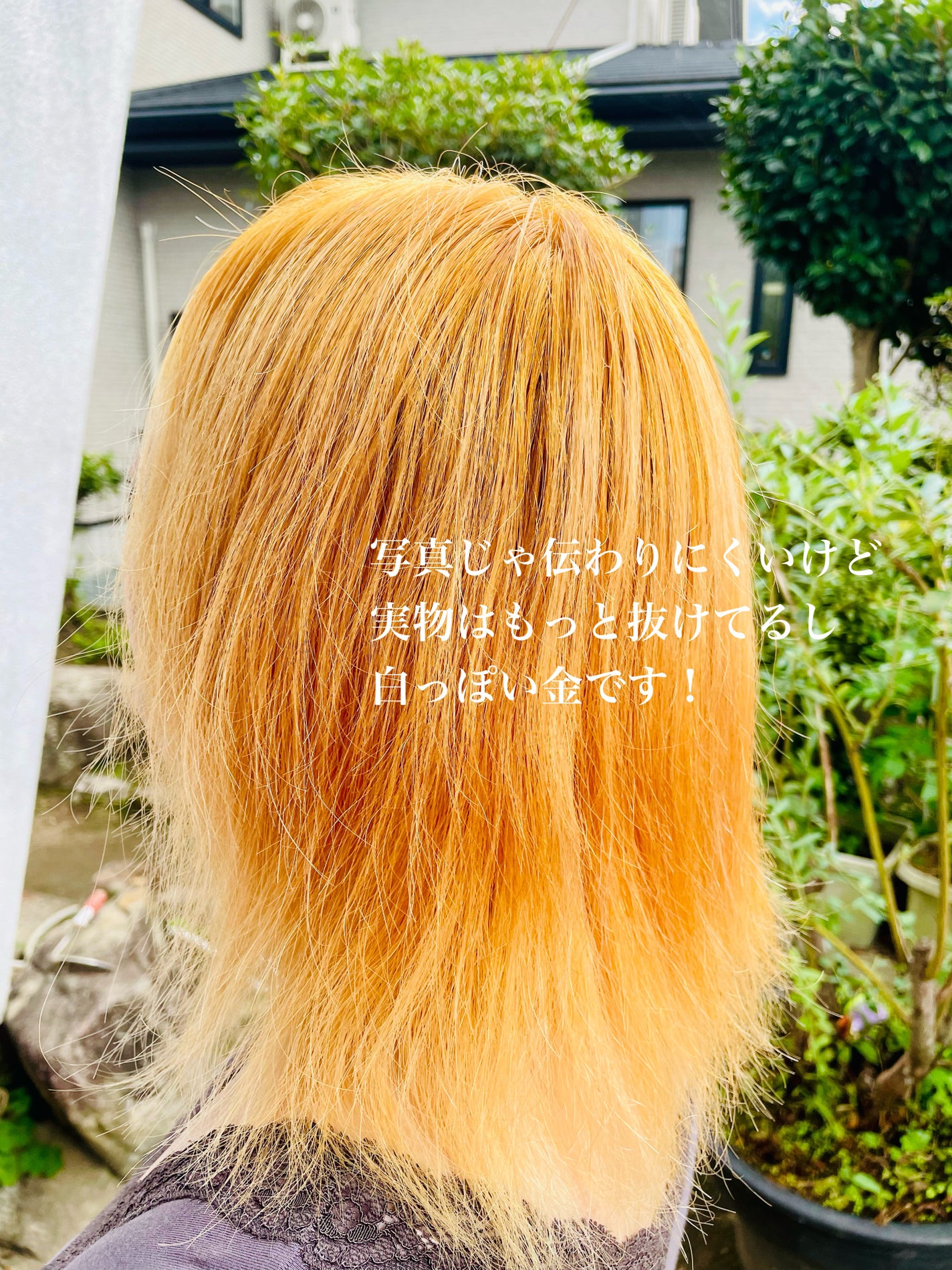 ãã¬ãã¯ã¹ããªãŒã/ãã¥ãŒãã£ãŒã³/ããªãŒãå€ã䜿ã£ãã¯ãã³ãïŒ6æç®ïŒ