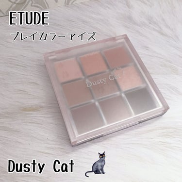 プレイカラーアイズ ダスティキャット/ETUDE/パウダーアイシャドウを使ったクチコミ（1枚目）