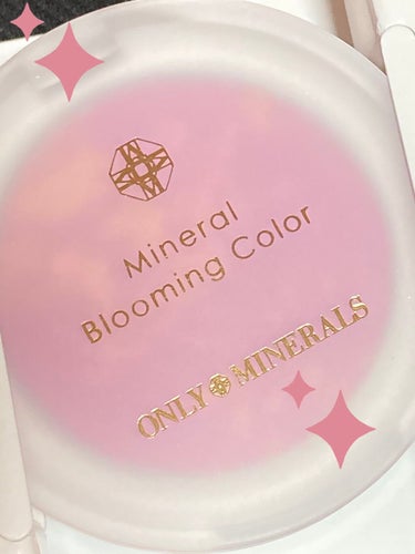 ミネラルブルーミングカラー/ONLY MINERALS/プレストパウダーを使ったクチコミ（3枚目）