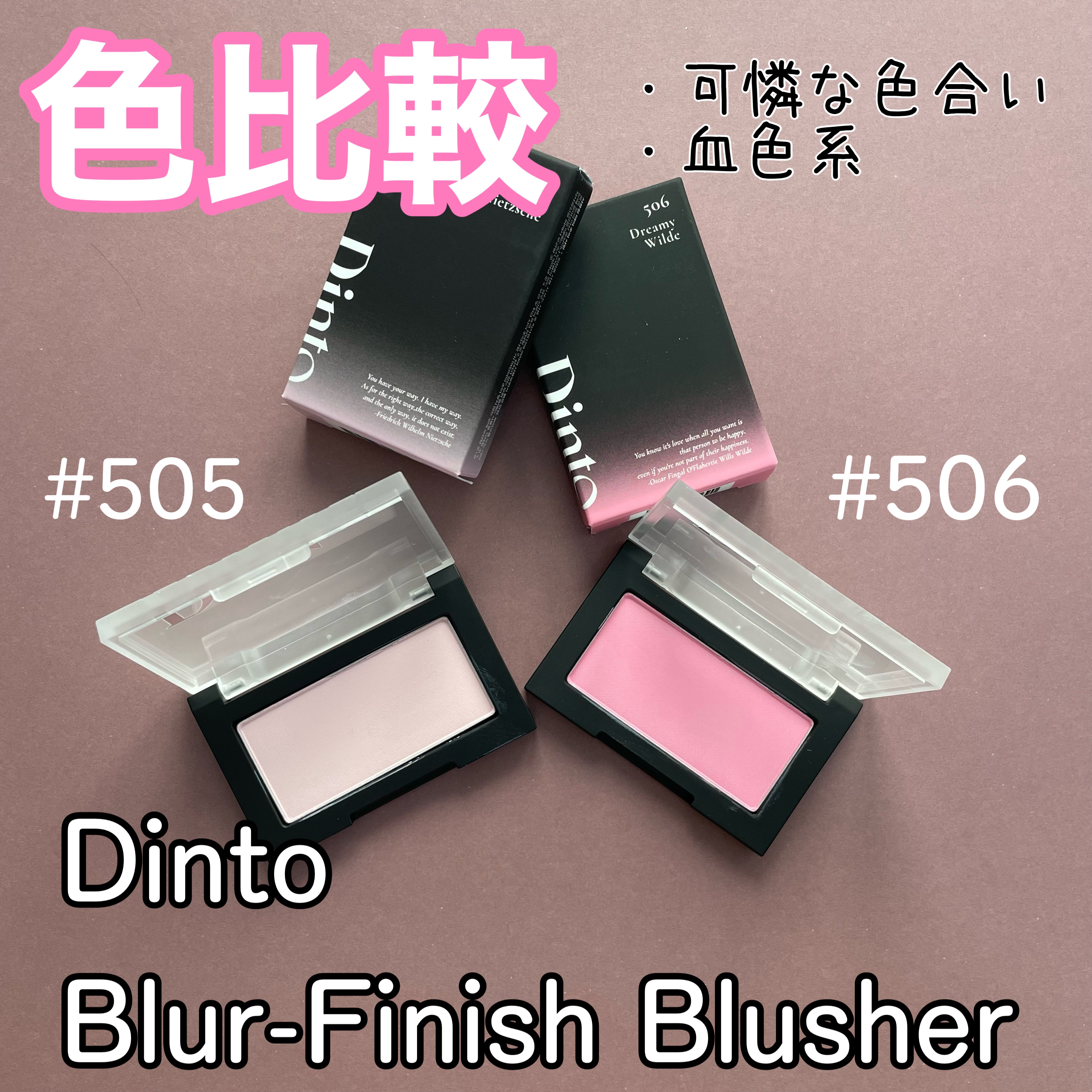 ブラーフィニシュブラッシャー/Dinto/パウダーチークを使ったクチコミ（1枚目）