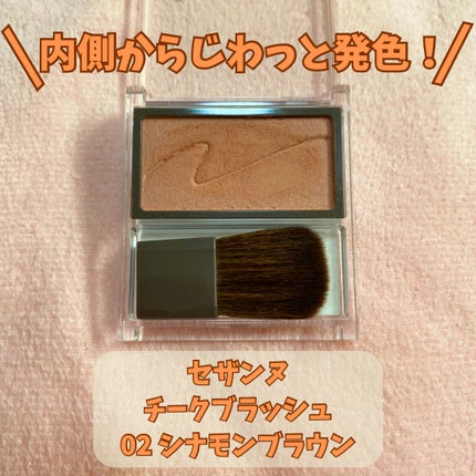 チークブラッシュ/CEZANNE/パウダーチークを使ったクチコミ(1枚目)