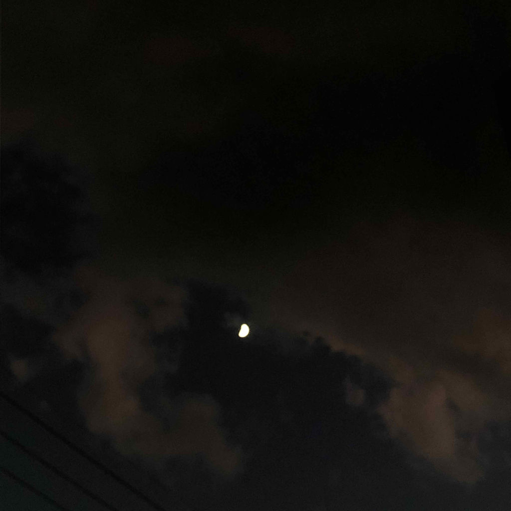 シングルブラッシャー/the SAEM/パウダーチークを使ったクチコミ（1枚目）