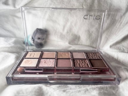 プロ アイ パレット/CLIO/アイシャドウパレットを使ったクチコミ(5枚目)