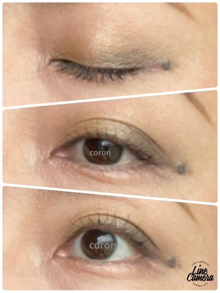 サンク クルール クチュール<バーズ オブ ア フェザー>/Dior/アイシャドウパレットを使ったクチコミ(4枚目)