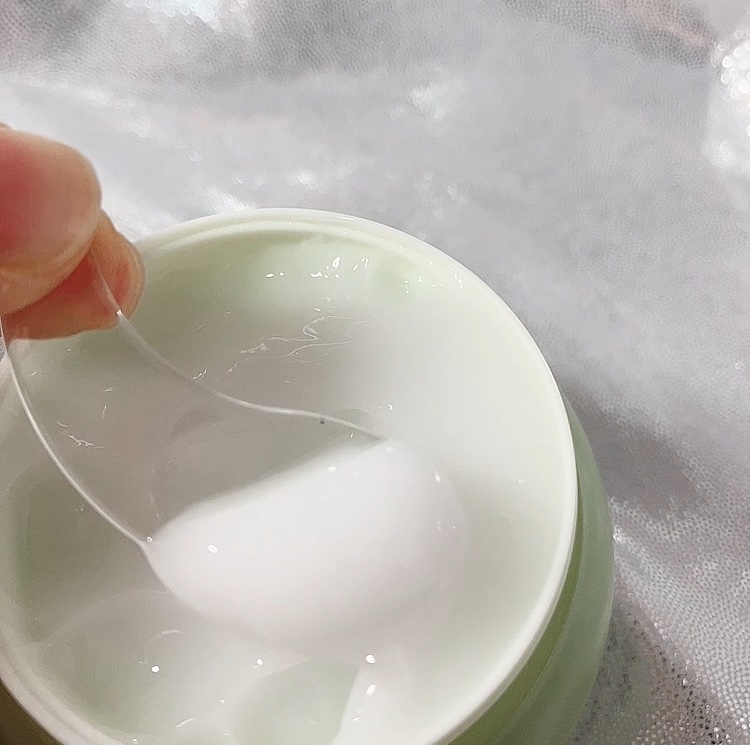 プレミ アムビーガン 雪蓮ヒアルロン酸保湿クリーム/dinsee/フェイスクリームを使ったクチコミ（3枚目）