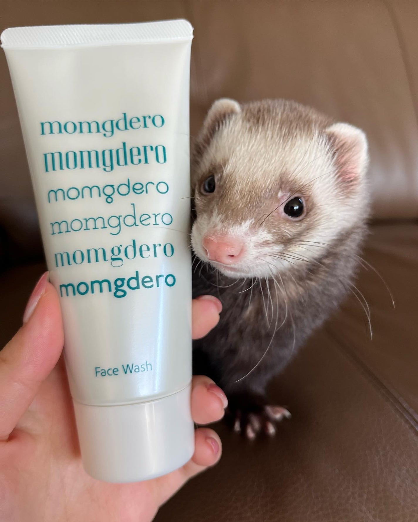 マームグデロ/百養美人/洗顔フォームを使ったクチコミ(6枚目)