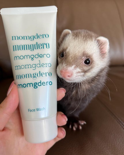 マームグデロ/百養美人/洗顔フォームを使ったクチコミ(6枚目)