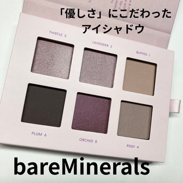 ミネラリスト アイシャドウ パレット へザード/bareMinerals/パウダーアイシャドウを使ったクチコミ（1枚目）